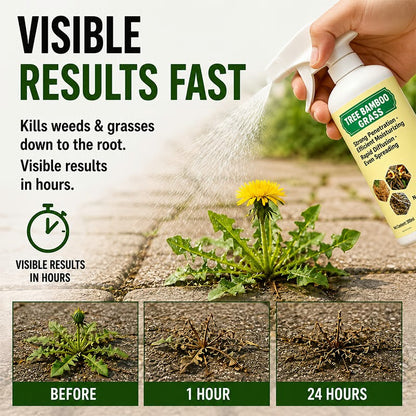 🔥🔥2026 SALE - Fast-Acting Natural Weed & Grass Killer Spray